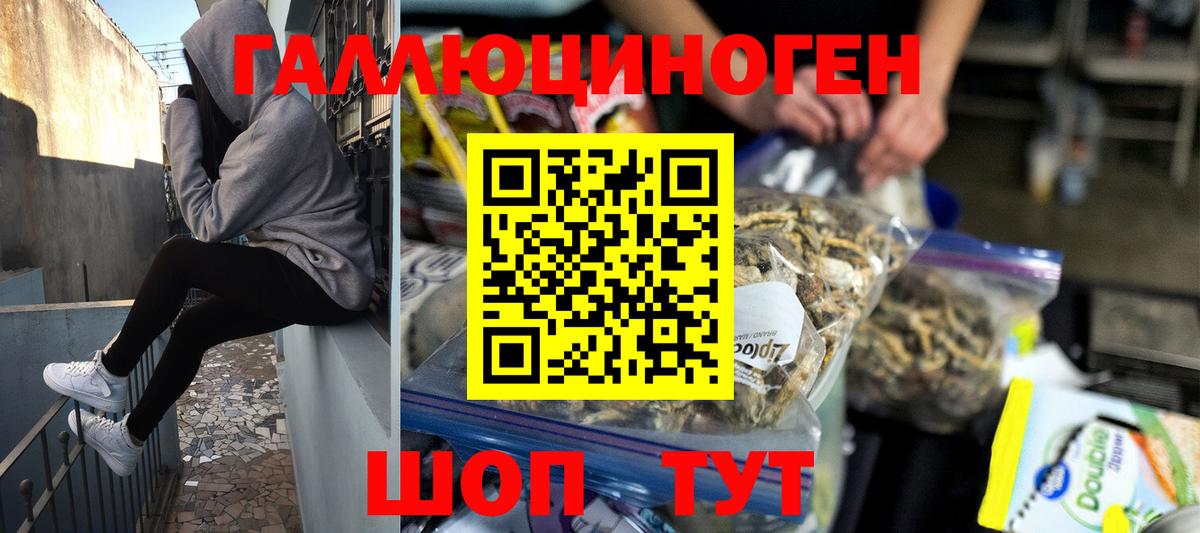 Нерюнгри  Псилоцибиновые грибы Psilocybine cubensis  Вход с VPN 