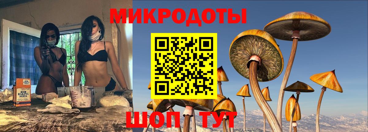 Псилоцибиновые грибы мухоморы Нерюнгри